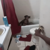 ok