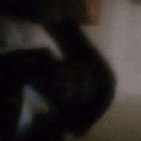 video-Freddy’s Dead (01:03)