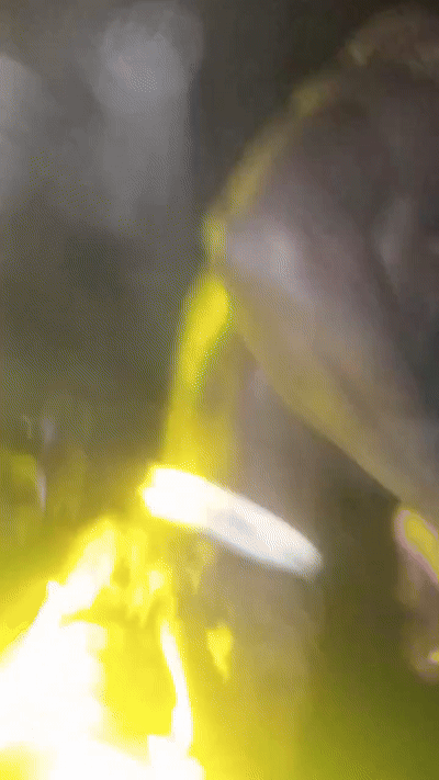 VID_20250101_023203