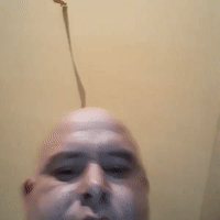 ha ha ik ben een papzak 