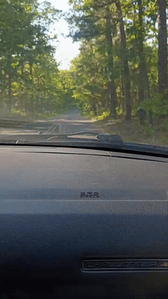 it goes vroom vroom