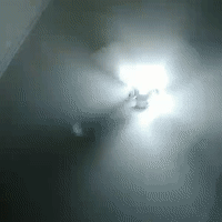 4reallyred2 1.3