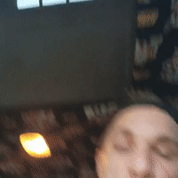 stooopid