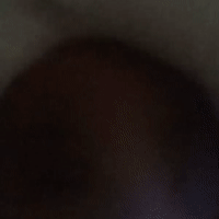 diss track  t player