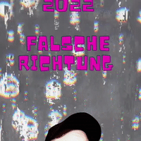 falsche Richtung mit Lyrics 