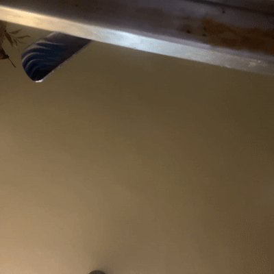 Humble (03:53:15)