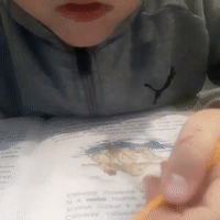 не хочу делать уроки