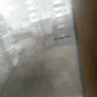 порш
