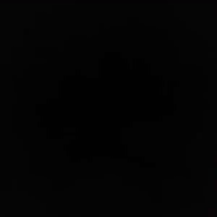 video-Lock Down (02:53)