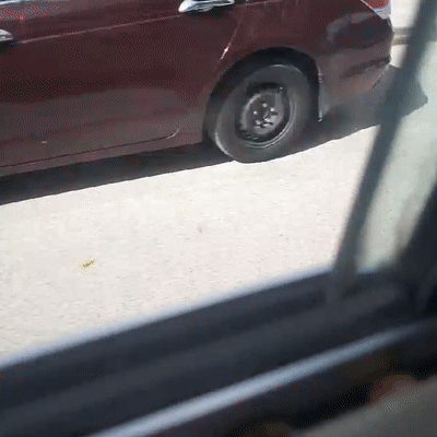 transporte escolar (15:21)
