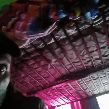 DGF (ft. Mhadsunn)