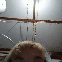 селедка