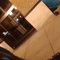 cmg bitch
