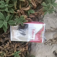 خدا منو بغل کن