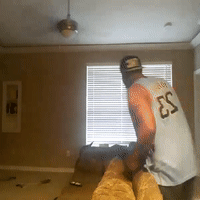 SharkFreestyle