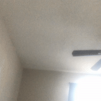 Clones (18:49:27) (13:42:22)
