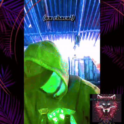 el despertar de lobo (ex chacal)