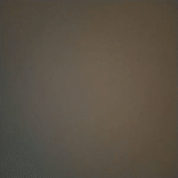 ляпляпляпляпляпяляпяплялпял