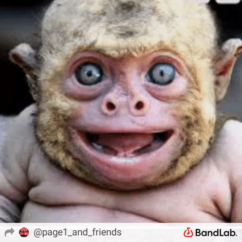  FACE OF THE APP 2021 