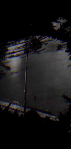 Duckin Wreck