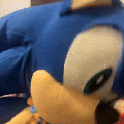 Sonic & friends hate Dr eggman 