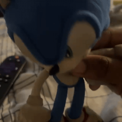 Sonic hate eggman