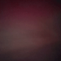 xd xd xd xd