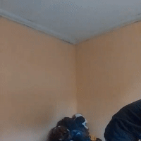 the nigga 