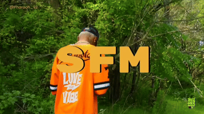 SFM