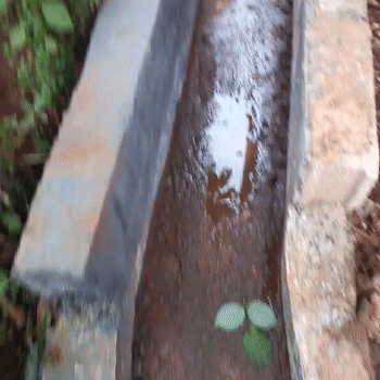 gutter 