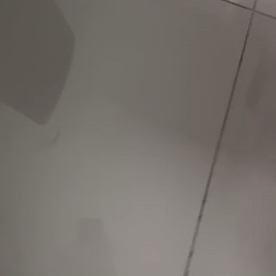Full black (10:24:51)