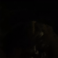 Jaquan is back