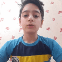 فلامینگو
