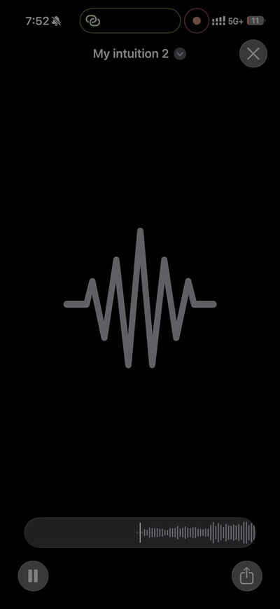 myintuition snippet