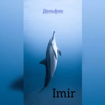 IMIR - Дельфин