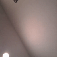20 followers 