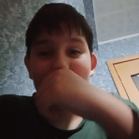 ненавижу комаров