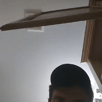 live version 