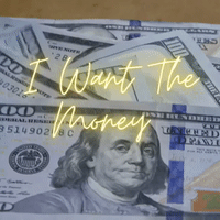 I Want The Money 