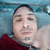 sigo vivo perras un chakal