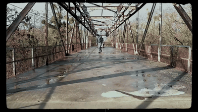 Tauben & Ratten (Official Video)
