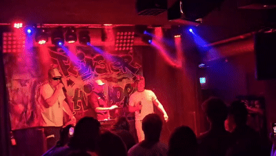 Tauben & Ratten ft. SensEins
