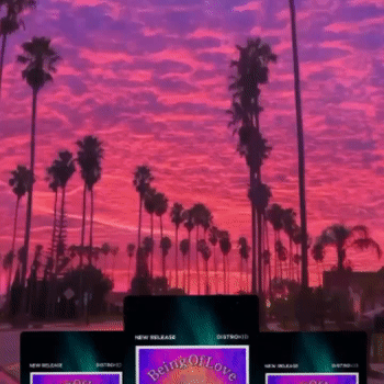 stream this would ya could ya