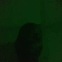 ayo