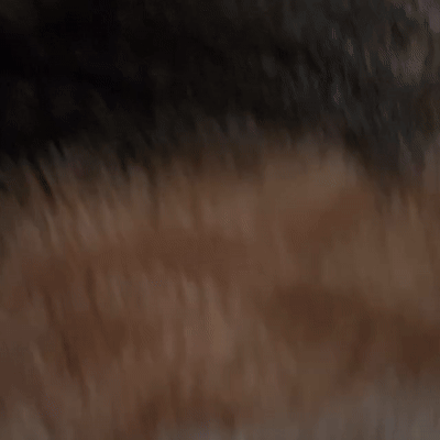 👀 (16:45:30)