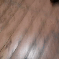 видео про чешу он милашка