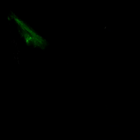 this is à Alien or what NO this is à WIZARD
