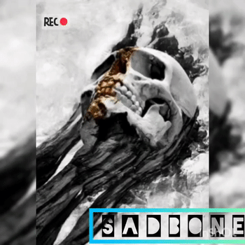 S4DBON3