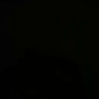 video-SCREAM (18:03)