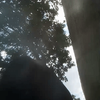 video-Lost (14:32)